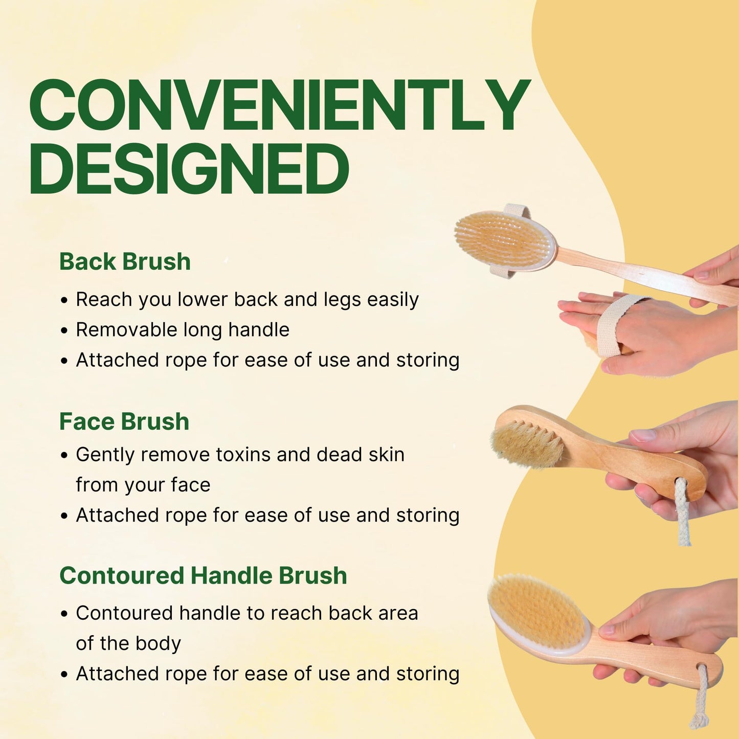 Asani Dry Brushing Body Brush Set for Lymphatic Drainage & Cellulite - 3-Pcs Detachable Back, Contour Body & Face Brushes Organic Gift for Dry Skin Beauty & Personal Care Asani