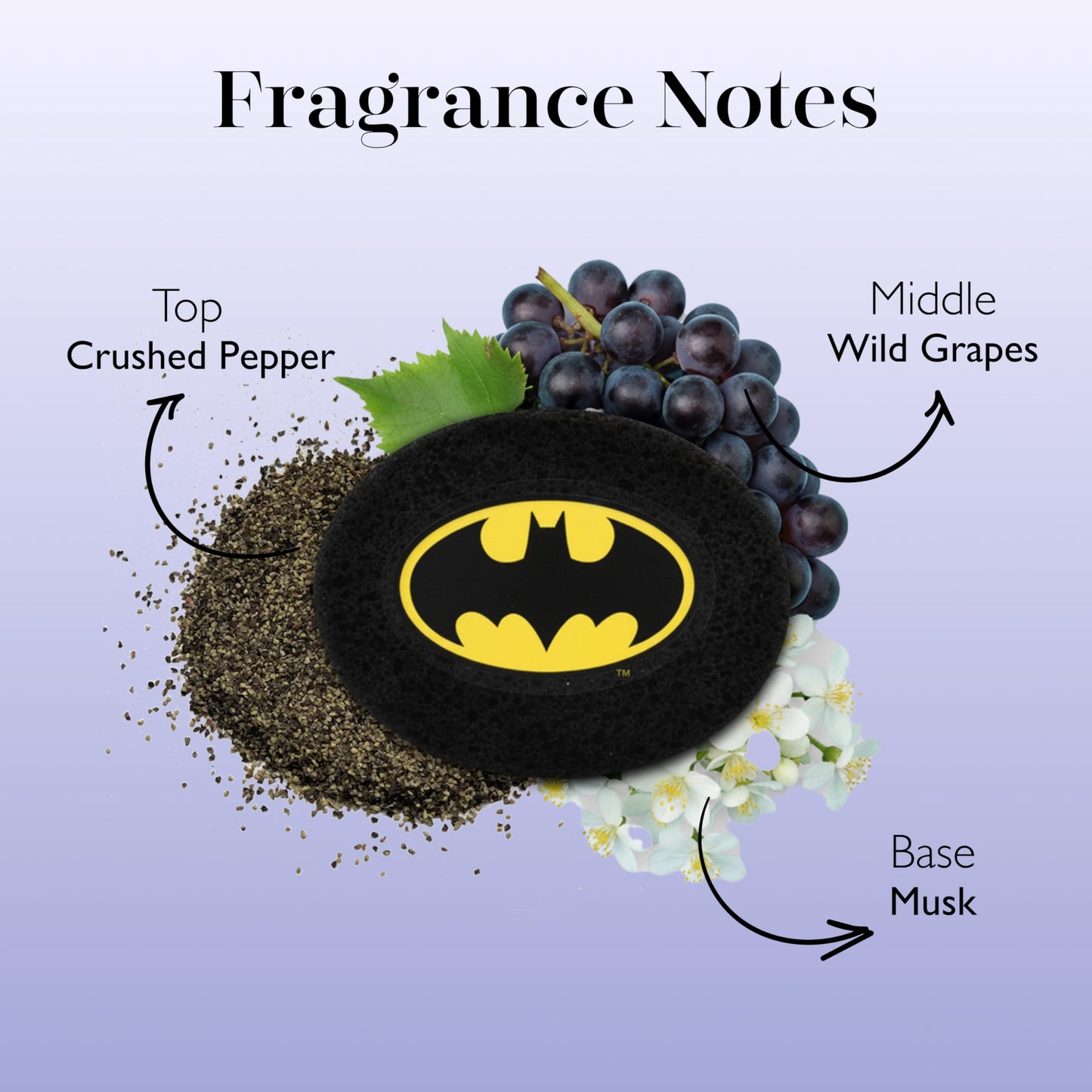 Spongellé Batman Grape Body Buffer - DC Super Hero Collection Beauty and Personal Care SPONGELLÉ
