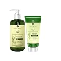WEILAIYA LUXURY ZINGIBER DETOX SHAMPOO/CONDITIONER Beauty & Personal Care Weilaiya