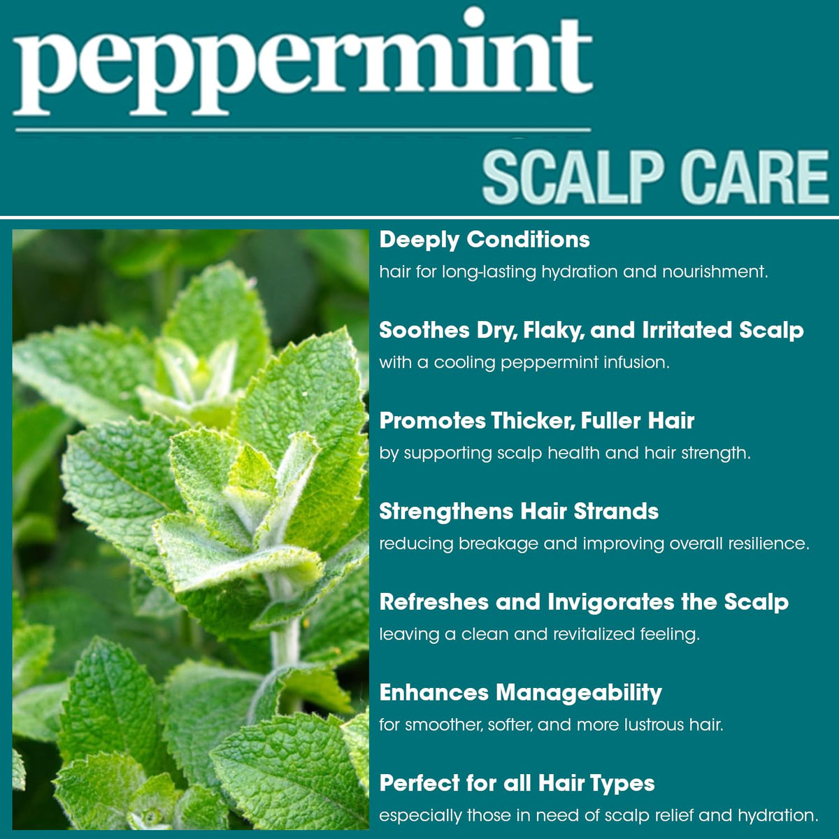 Difeel Peppermint Scalp Care Shampoo 12 oz. - Made with Natural Ingredients