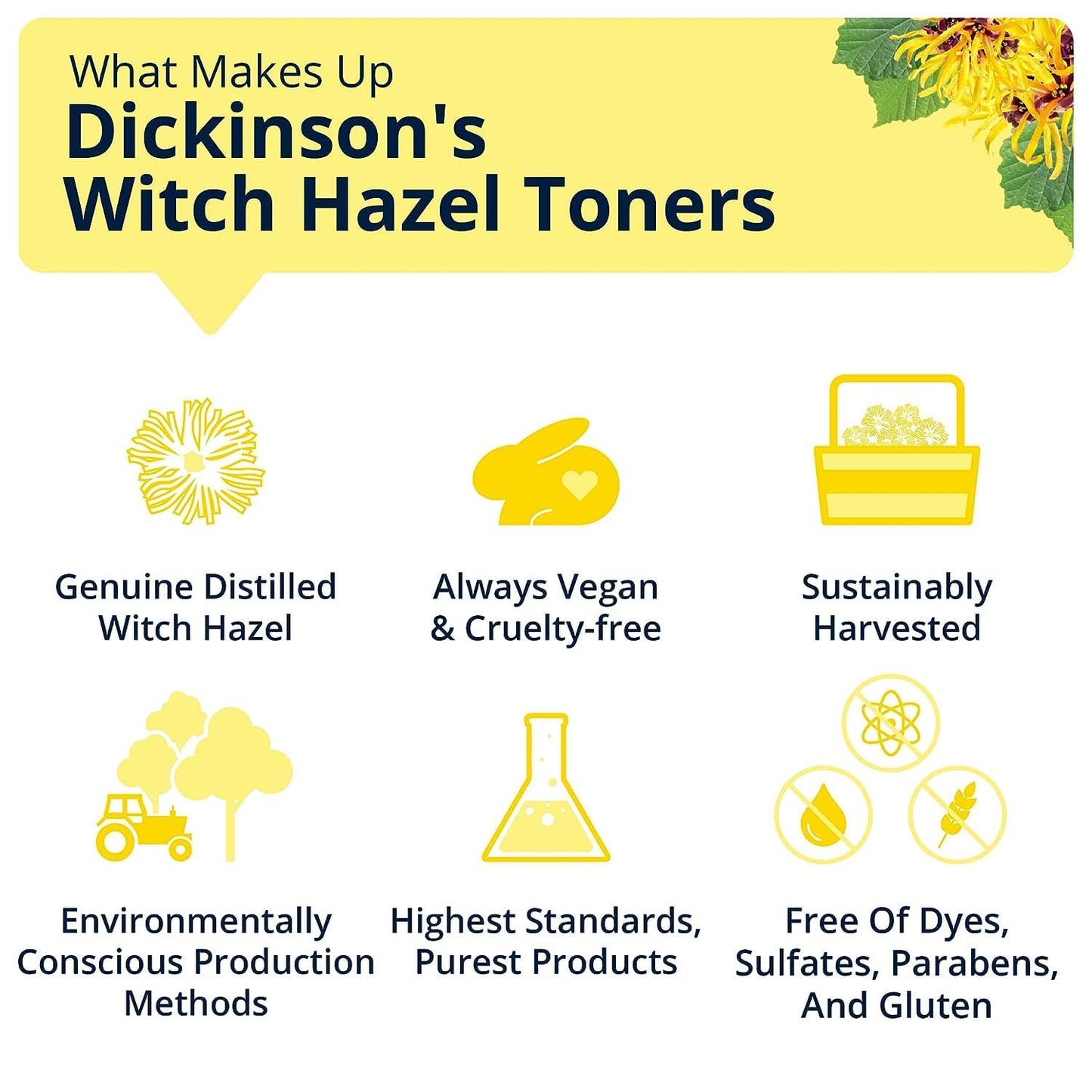 Dickinson's Enhanced Witch Hazel Hydrating Toner with Rosewater, Alcohol Free, 98% Natural Formula, 16 Fl Oz (Pack of 1) Beauty & Personal Care Dickinson's