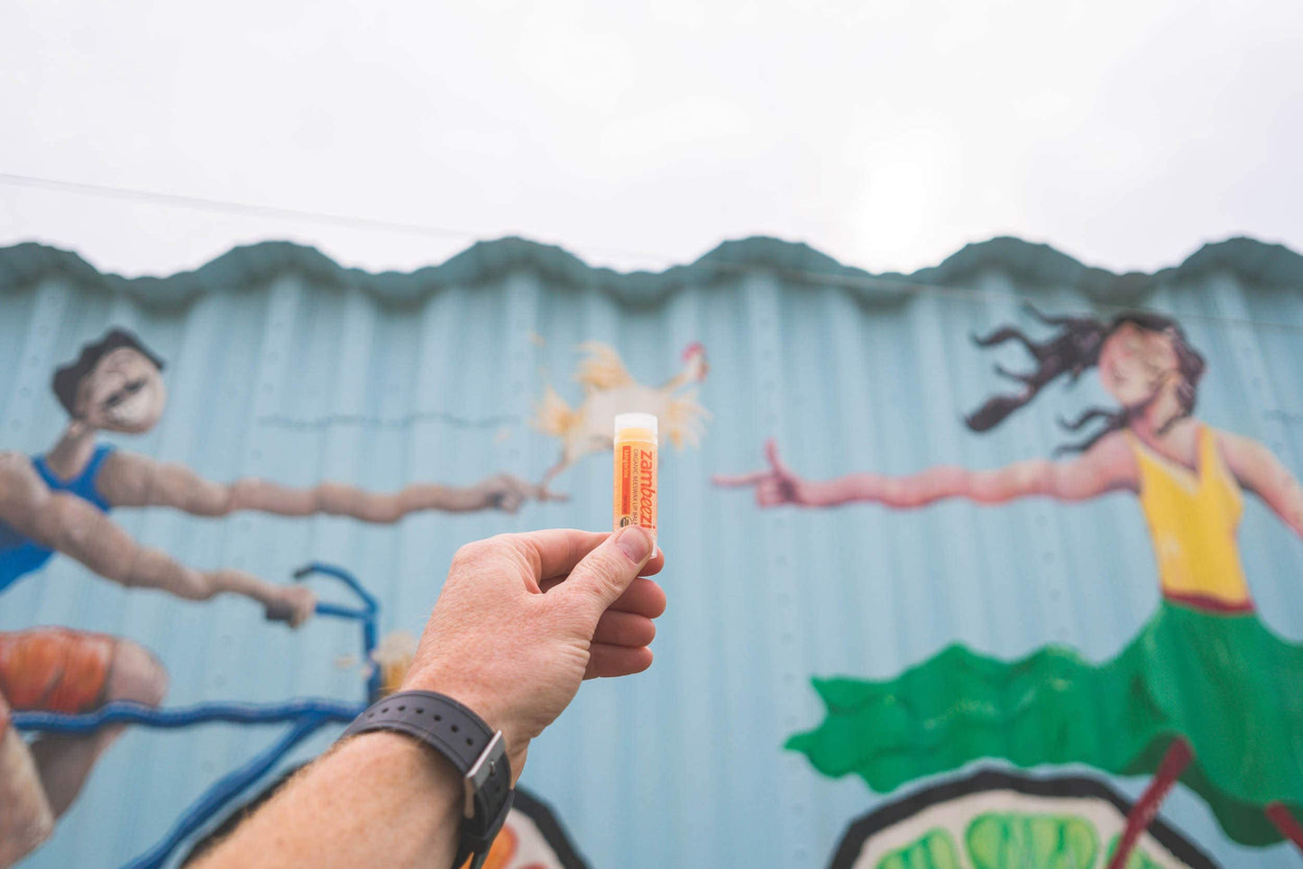 Case of Beeswax Lip Balm by ZAMBEEZI - Tangerine 24-Tube Carton - Crafted with USDA Organic, Fair Trade, Lip Refreshing Ingredients from Zambia Beauty and Personal Care Zambeezi
