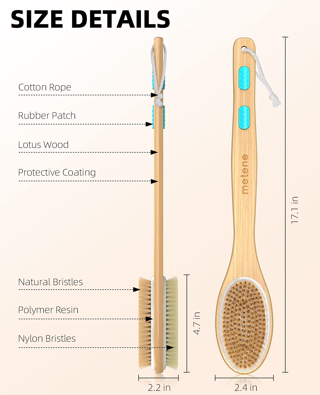 Metene 2 Pack Shower Brush with Soft and Stiff Bristles, Bath Dual-Sided Long Handle Back Scrubber Body Exfoliator for Wet or Dry Brushing Beauty & Personal Care Metene