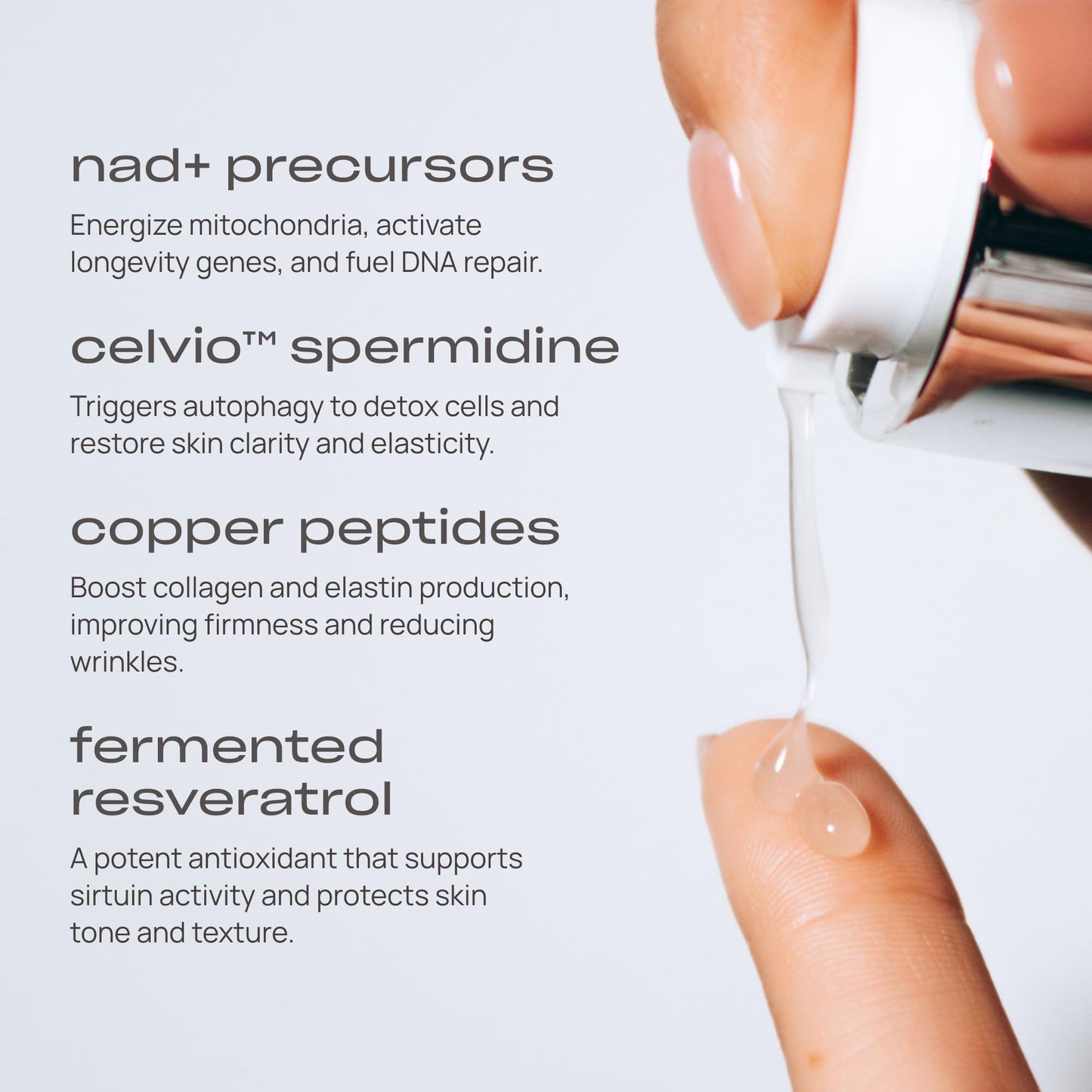 Young Goose, Youth Reset Serum | Cellular Regeneration and Repair | Improves Skin Texture | Promotes Skin Luminosity and Vibrancy - Large Size 30ml Beauty & Personal Care Young Goose