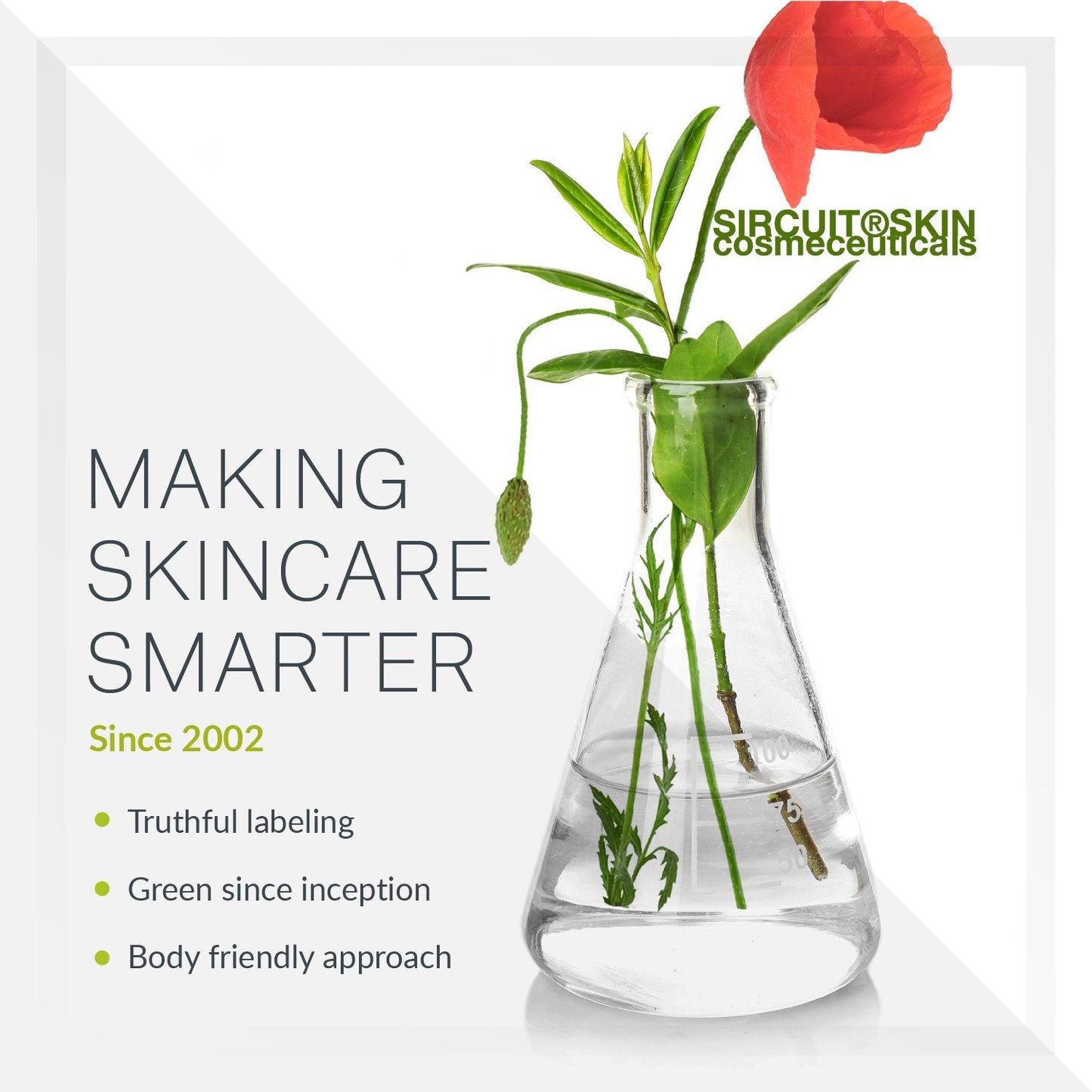 Sircuit Skin EYE TECH Anti-Wrinkle Eye Emulsion - Moisturizing Eye Treatment with Borage Oil, Echinacea Stem Cells, and Ceramide 3 - Daily Eye Beauty & Personal Care Sircuit