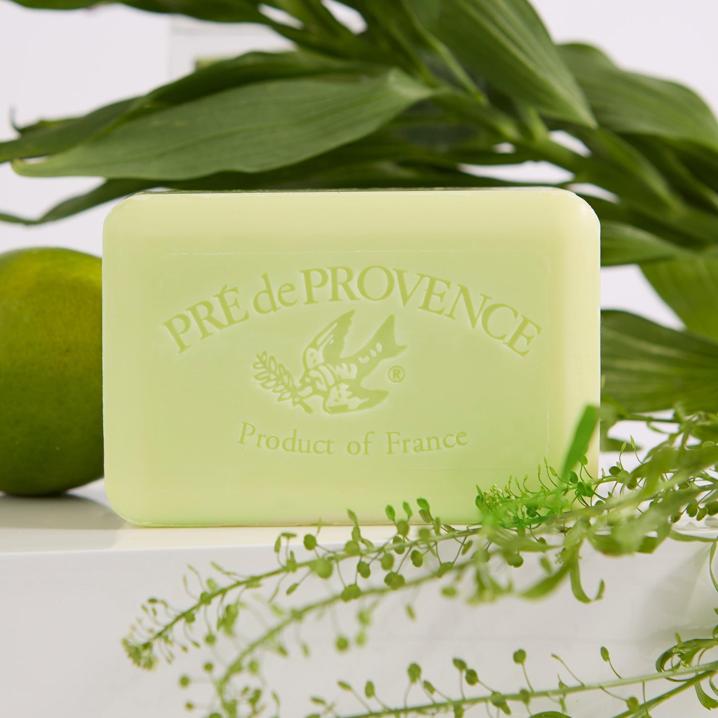 Pre de Provence Artisanal Soap Bar, Enriched with Organic Shea Butter, Natural French Skincare, Quad Milled for Rich Smooth Lather, 8.8 Ounce, Linden Beauty & Personal Care Pre de Provence
