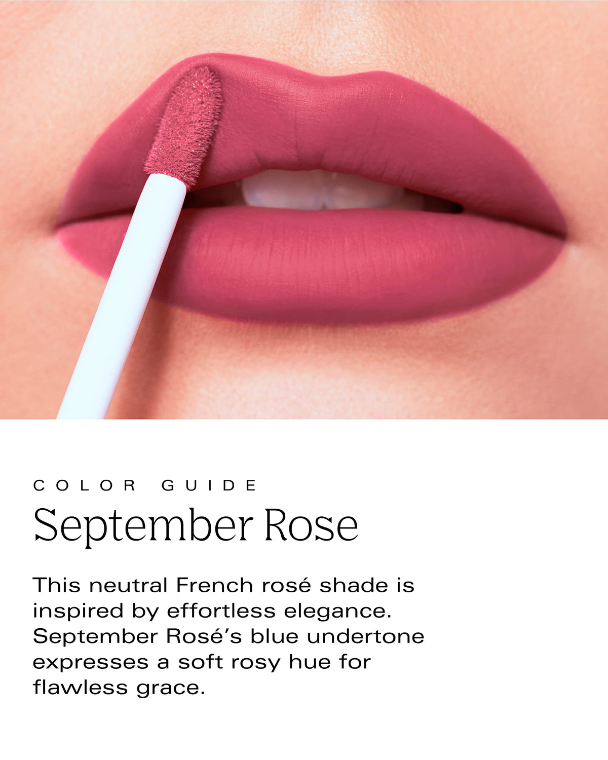 PDL Cosmetics Bold Aspirations Liquid Lipstick (September Rose) | Highly Pigmented Smooth Matte Finish | Rosé Tone | Long Lasting, Non-Transfer Beauty & Personal Care PDL Cosmetics