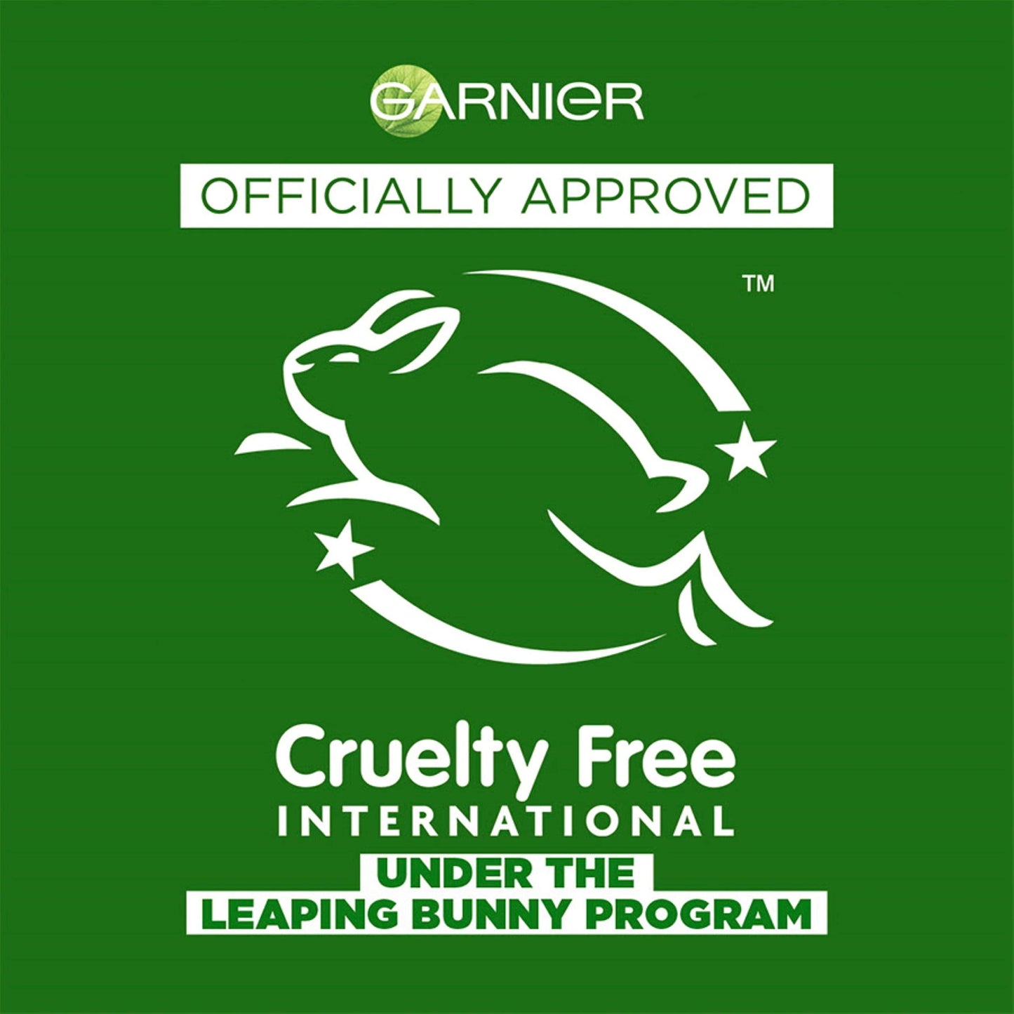 Garnier Fructis Style Control Anti-Humidity Hairspray, Extreme Hold, No Color, Fruit, 8.25 Oz Beauty & Personal Care Garnier