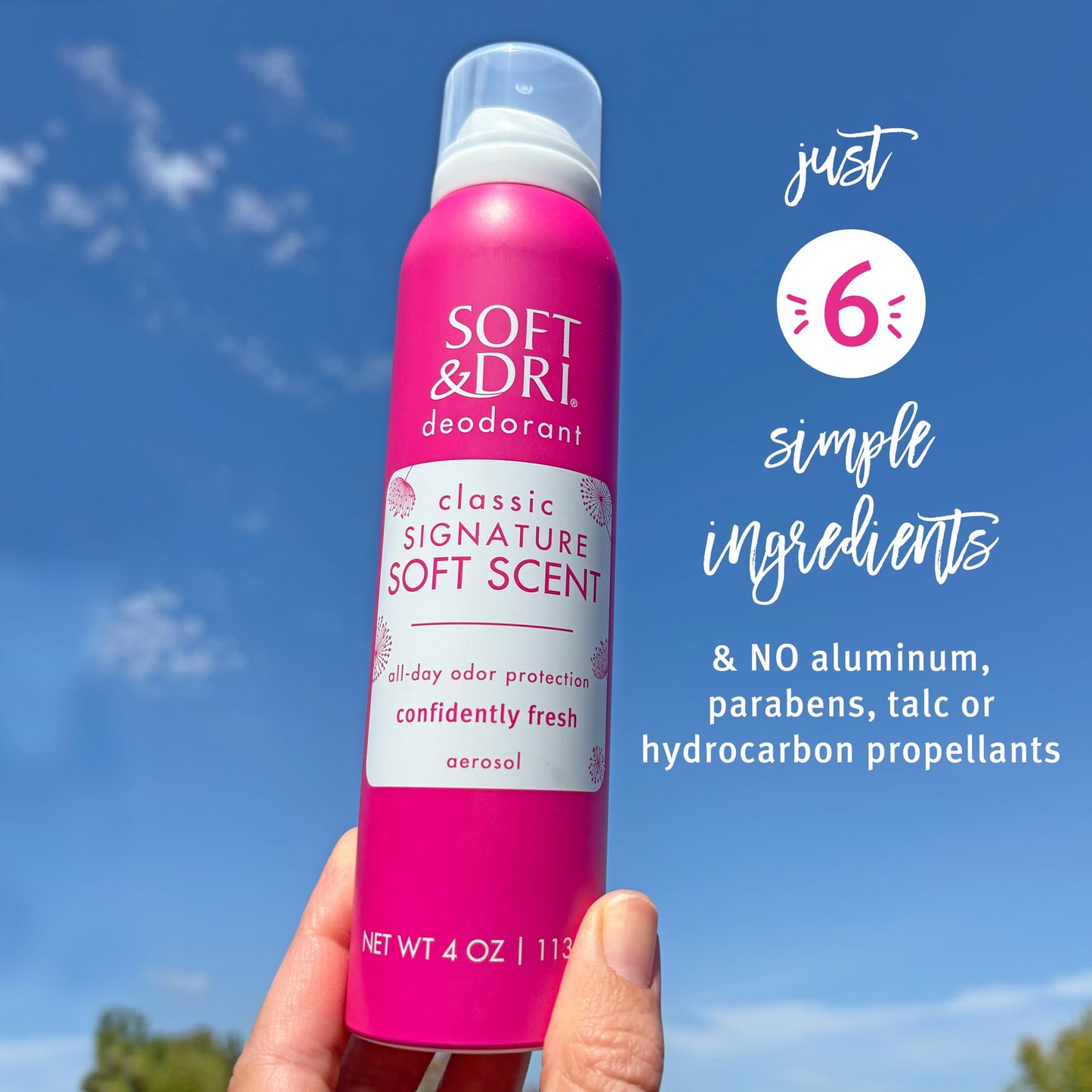 Soft & Dri Classic Signature Soft Scent Aerosol Deodorant, 4 oz Beauty and Personal Care Soft & Dri