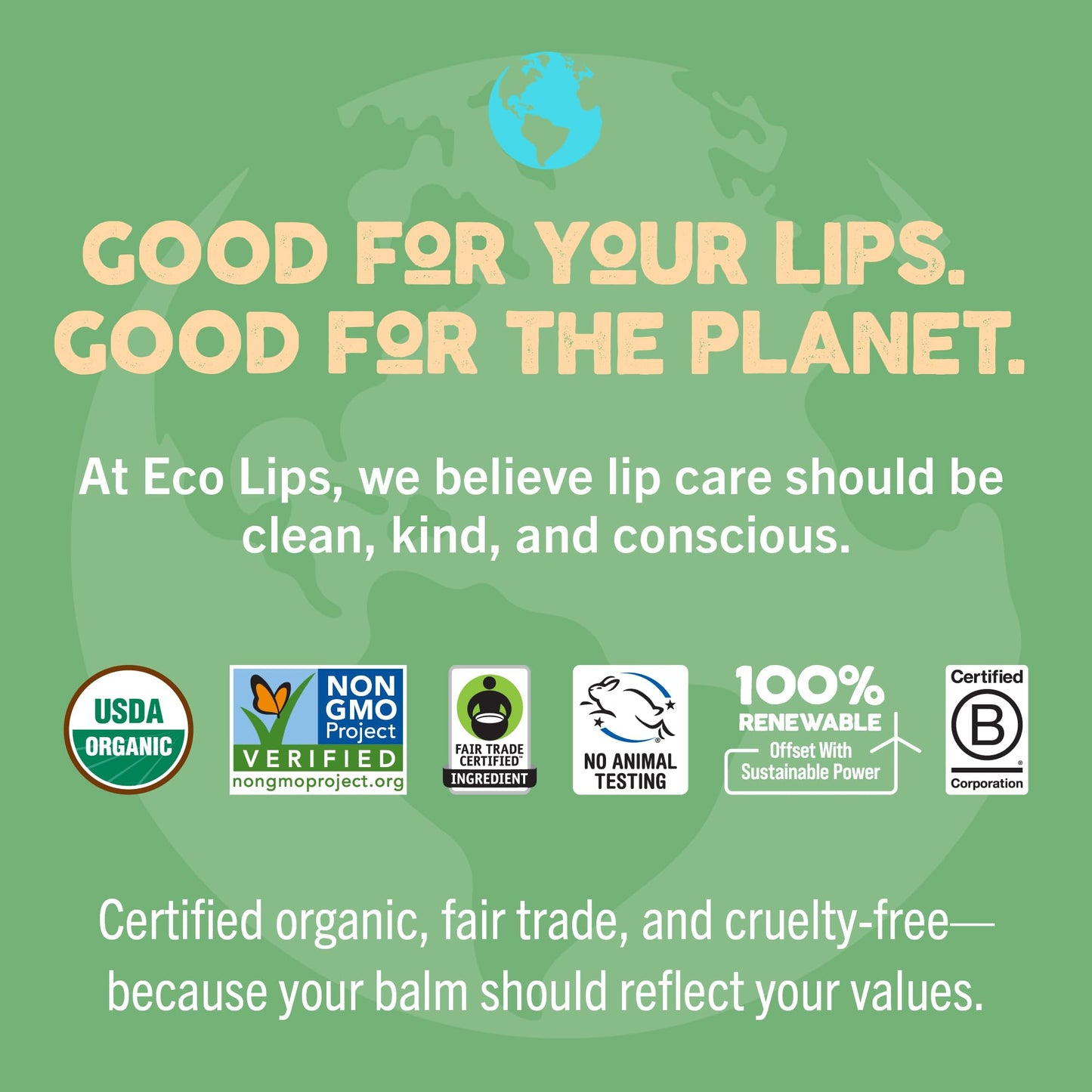 LIP BALM Mongo Kiss 6-Pack (6 tubes) Vanilla Honey by Eco Lips 100% Organic Beeswax & Cocoa Butter Lip Care with Organic Mongongo Oil - Soothe Beauty & Personal Care Eco Lips