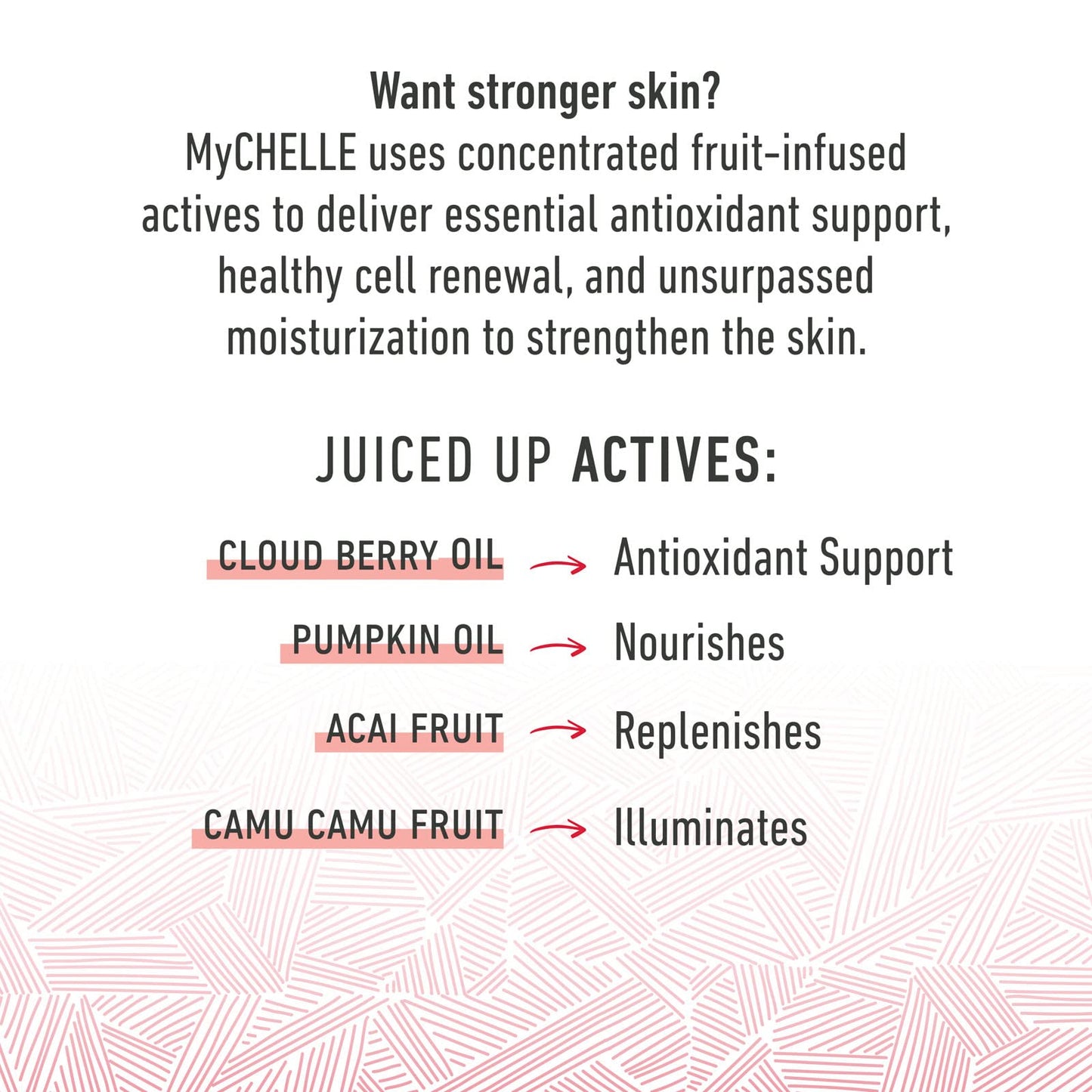 MyChelle Dermaceuticals Pumpkin Renew Cream (1.2 Fl Oz) - Daily Face Moisturizer with Pumpkin Seed Oil, Cloudberry Extract & Antioxidants Beauty & Personal Care MyChelle Dermaceuticals