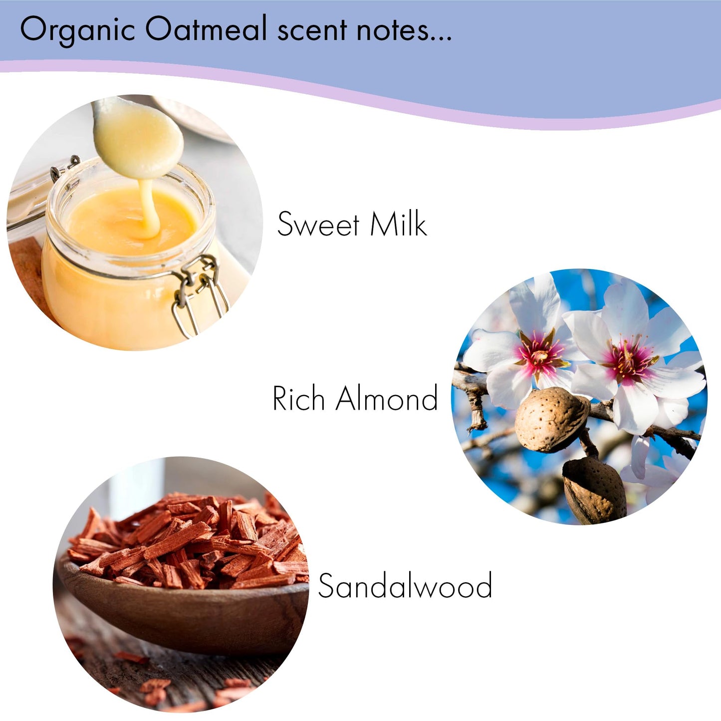 Floral Soap Sampler-Set of 6- Enriched with Shea Butter, Essential Oils, Natural Extracts (African Violet, Black Currant, Almond Butter, Lavender Beauty & Personal Care Greenwich Bay
