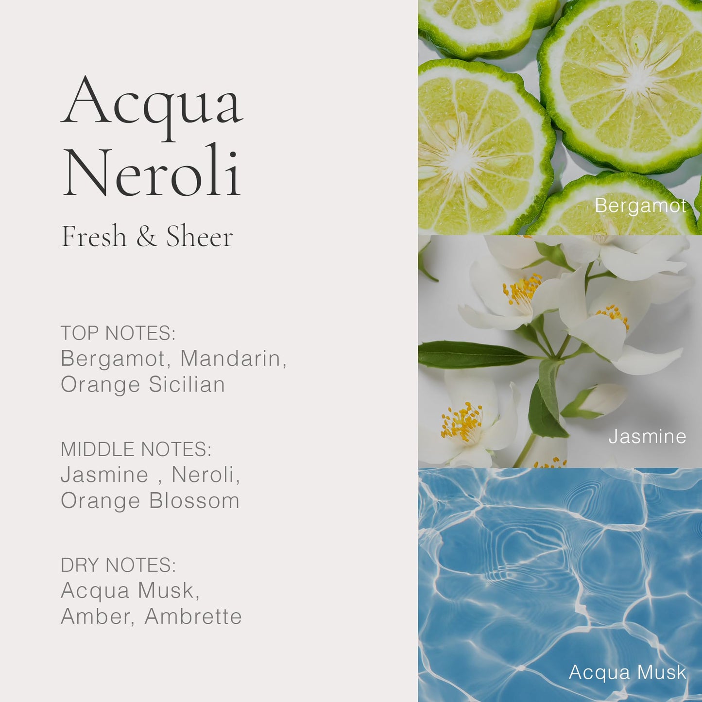 CLEAN RESERVE Acqua Neroli Eau de Parfum | Eco-Conscious & Sustainable Spray Fragrance | Vegan, Phthalate-Free, & Paraben-Free | 1.7 Fl Oz/50mL Beauty & Personal Care CLEAN