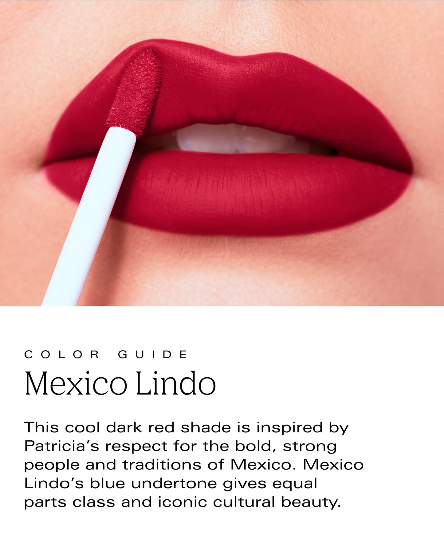 PDL Cosmetics Bold Aspirations Liquid Lipstick (Mexico Lindo) | Highly Pigmented Smooth Matte Finish | Blue-Red Tone | Long Lasting, Non-Transfer Beauty & Personal Care PDL Cosmetics