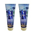 Bath & Body Works Body Cream, 8oz Each, Set of 2 - Aloe, Vitamin E, Shea (Denim Daisies) Beauty & Personal Care Bath & Body Works