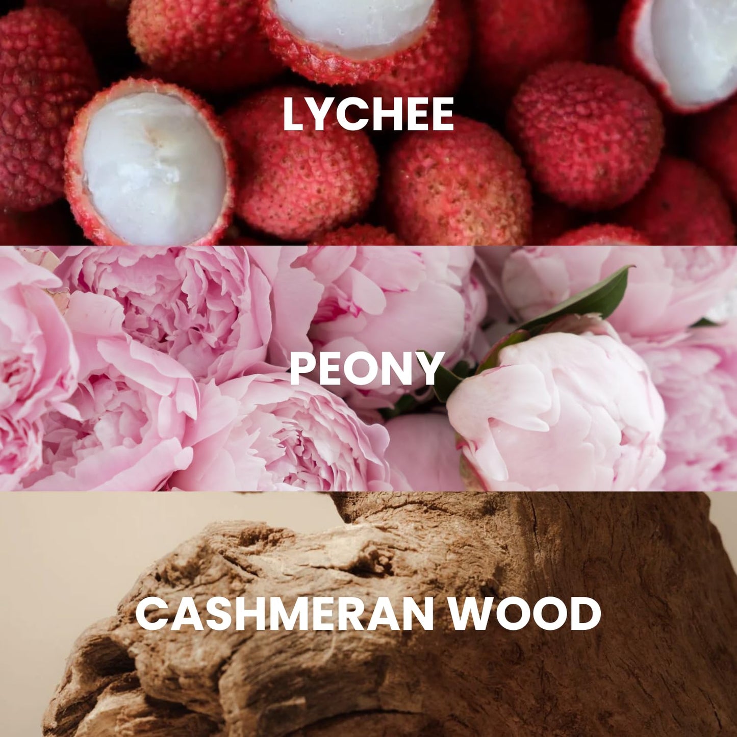 Jean Rish Rosewood Perfume for Women Eau De Parfum, Long-Lasting Luxury Fragrance, Made In USA - Lychee, Peony, Cashmeran Wood - 100ml / 3.4 oz Beauty & Personal Care Jean Rish