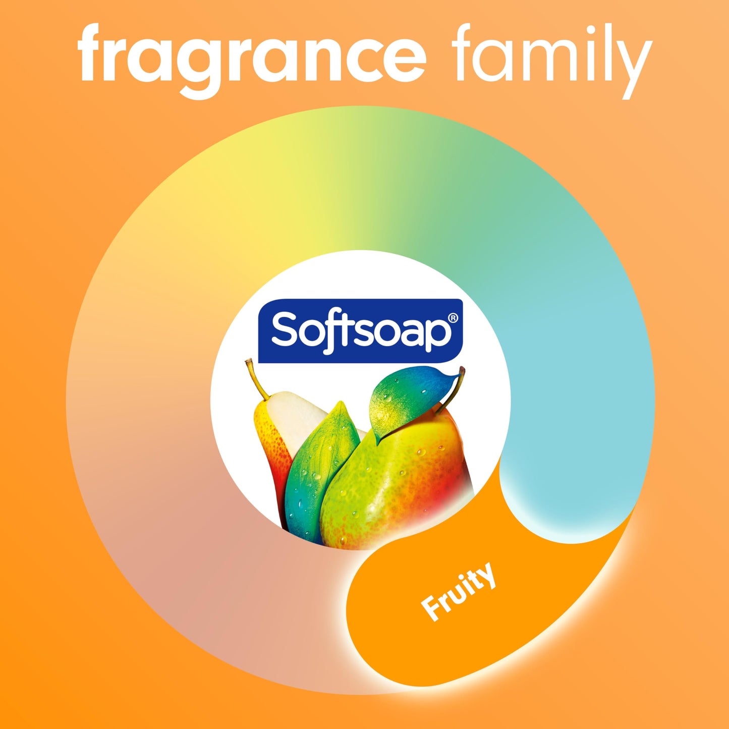 Softsoap Antibacterial Liquid Hand Soap Pump, Crisp Clean - 11.25 fluid ounce Beauty & Personal Care Softsoap