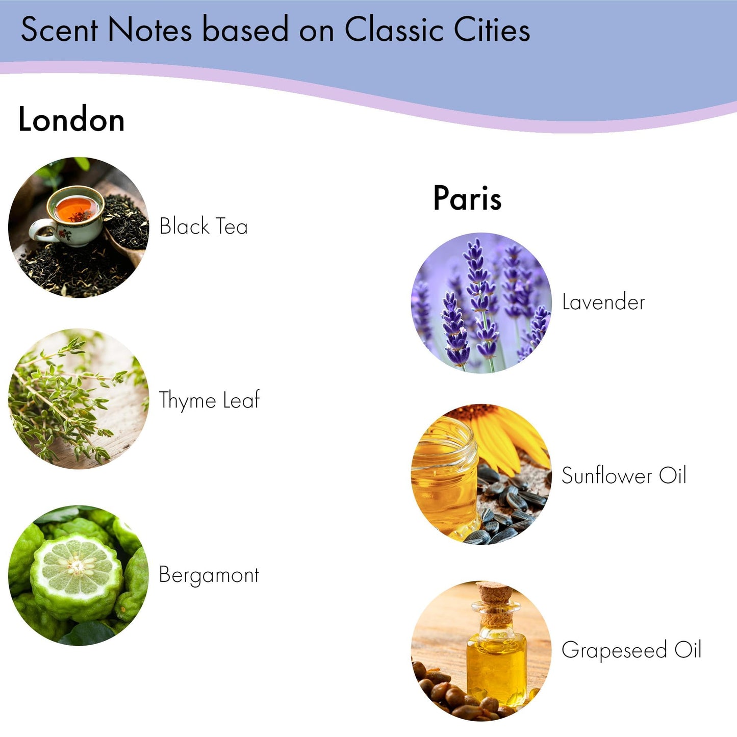 Destination Soap Sampler- Set of 8 Exfoliating Spa Soap Bars- Enriched with Shea Butter and Essential Oils- Sicily, Kyoto, London, Paris, Morocco Beauty & Personal Care Greenwich Bay