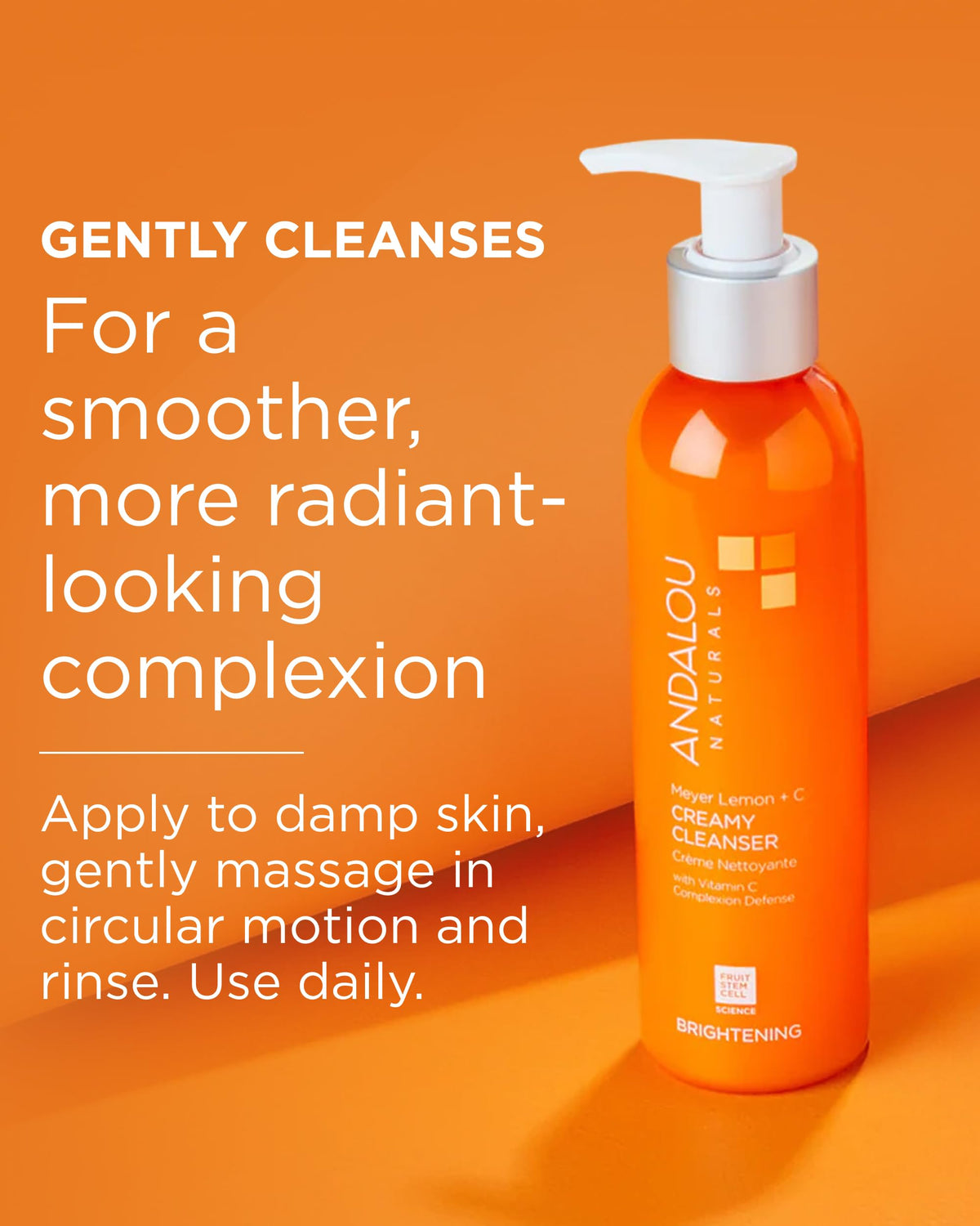 Andalou Naturals Clnsr Creamy Meyer Lemon 6 Fz Beauty & Personal Care Andalou Naturals