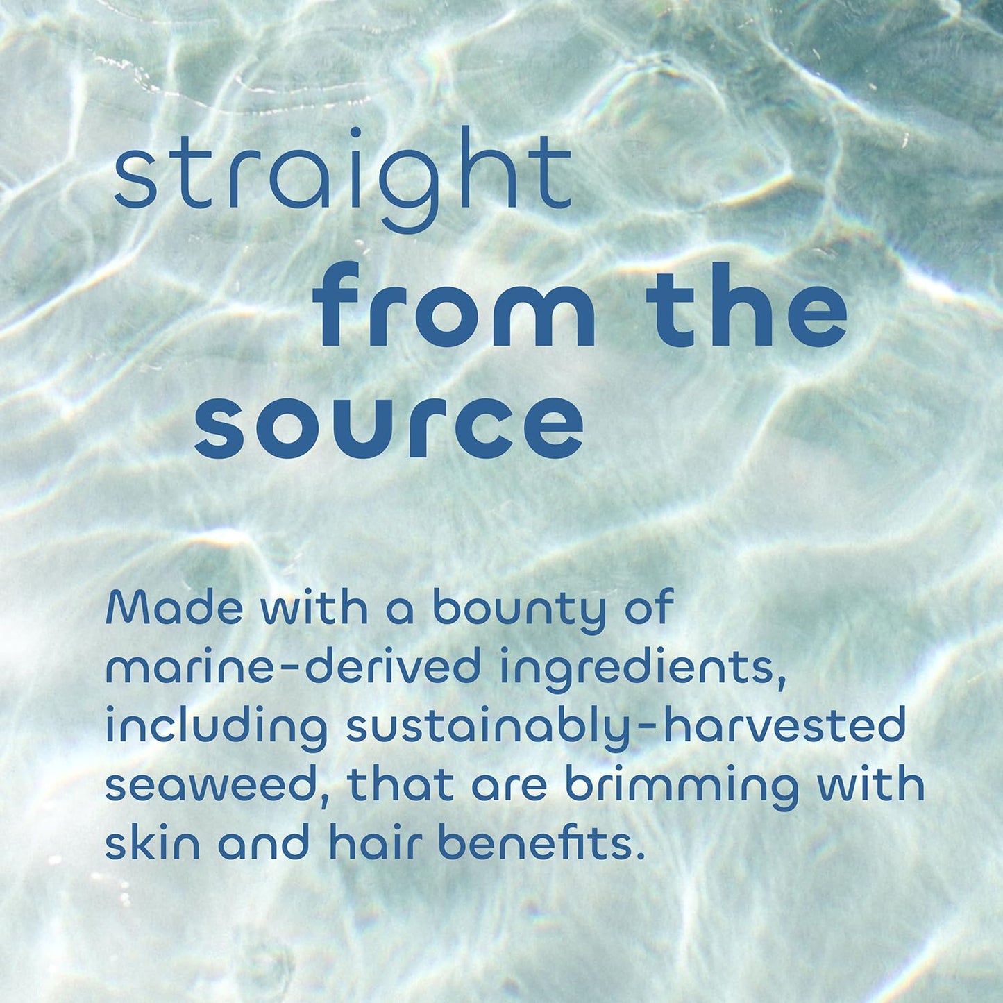 Seaweed Bath Co. Exfoliate Detox Body Soap, 3.75 Ounce, Sustainably Harvested Seaweed, Charcoal (Packaging May Vary) Beauty & Personal Care The Seaweed Bath Co.