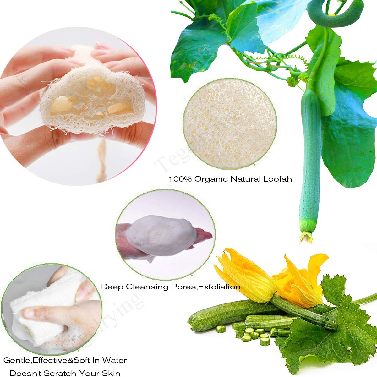 Tegelrying Loofah Sponge Exfoliating,6 Packs Natural Loofa Large Back Scrubber for Men Women Bath Shower Body Skin Care Cleansing Luffa 5 inches Long Beauty and Personal Care Tegelrying