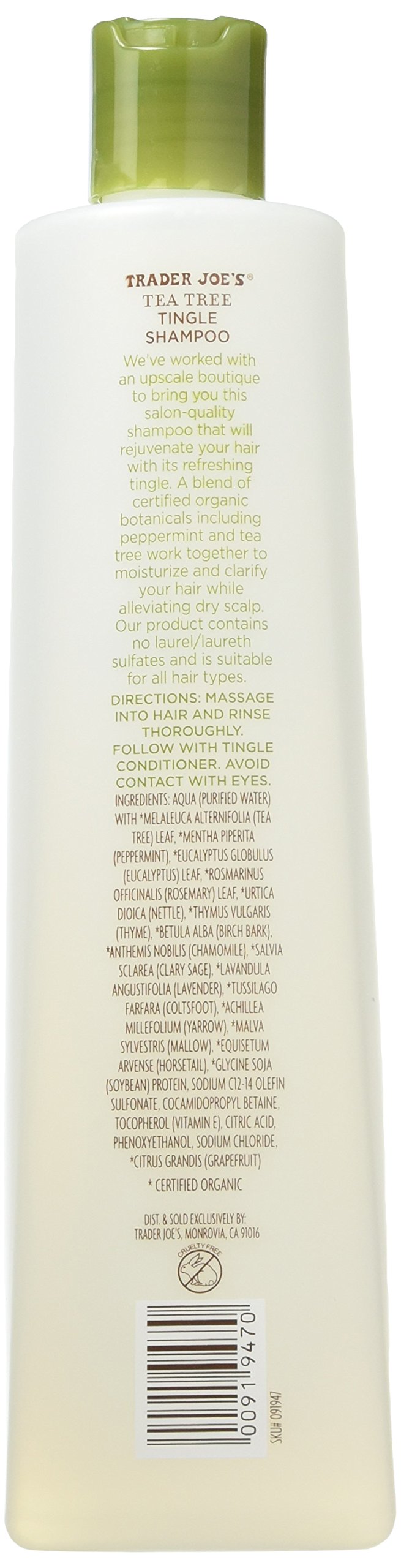 Trader Joe's Tea Tree Tingle Shampoo with Peppermint, Tea Tree and Eucalyptus Botanicals, 16-Ounces