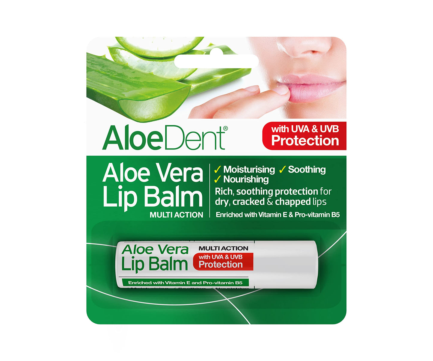 Aloe Dent Aloe Vera Lip Balm - 12 Pack Beauty and Personal Care Aloe Dent