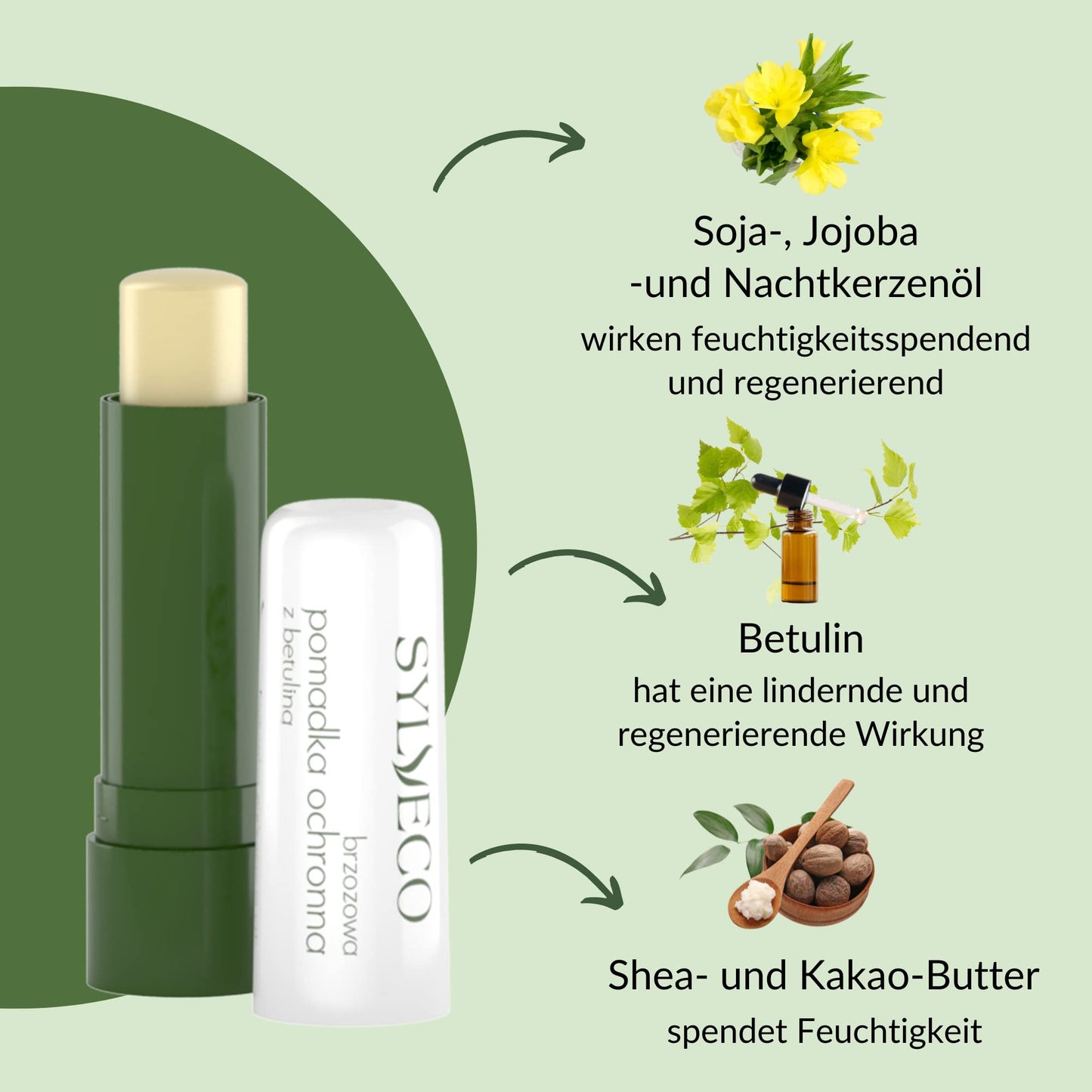 Protective Lip Balm with Birchwood Betuline and Natural Oils by Sylveco Beauty and Personal Care SYLVECO