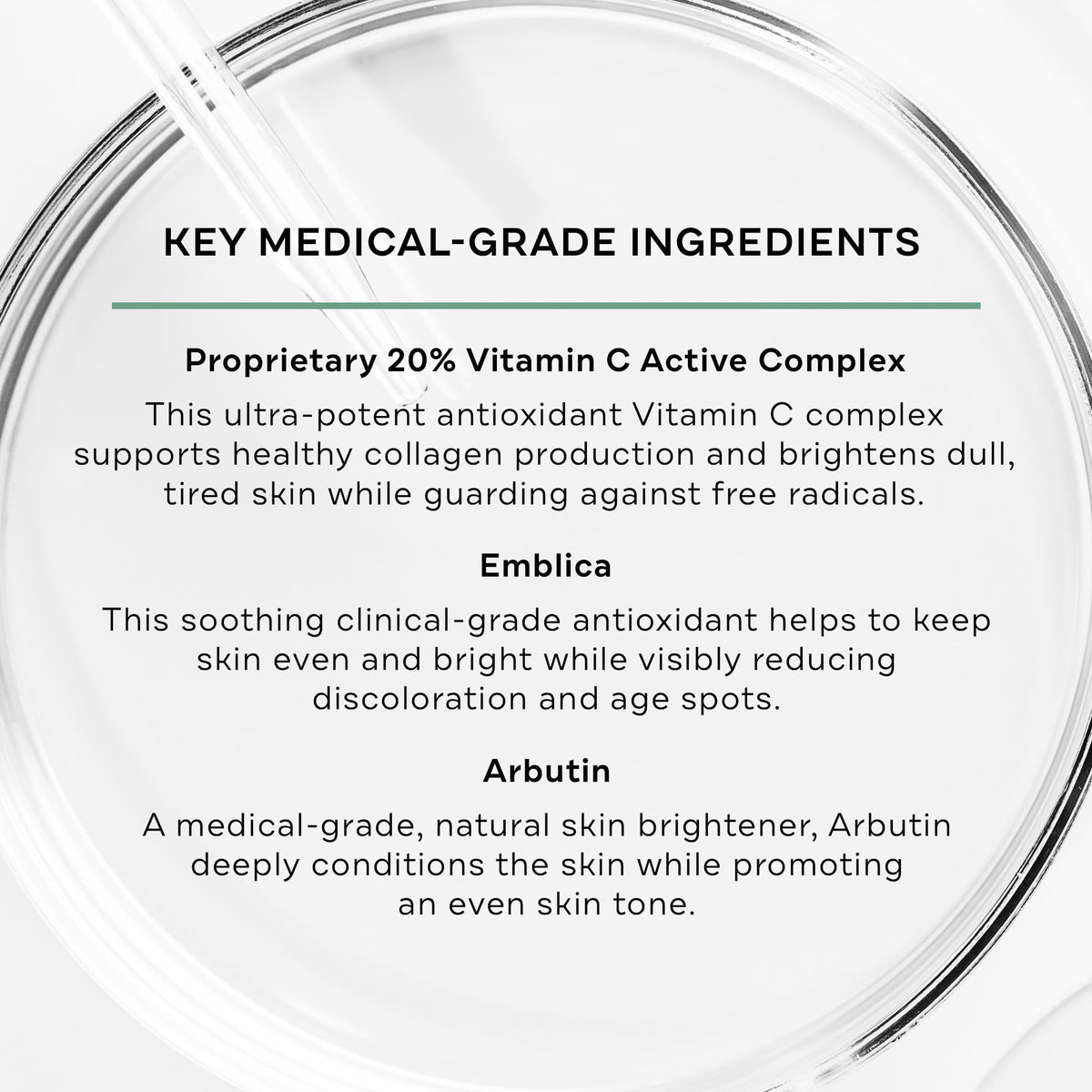 Replenix Vitamin C Pro Collagen Serum, Brightening Anti-Aging Face Treatment with Medical-Grade Antioxidants for Skin Discoloration (1 fl. oz)