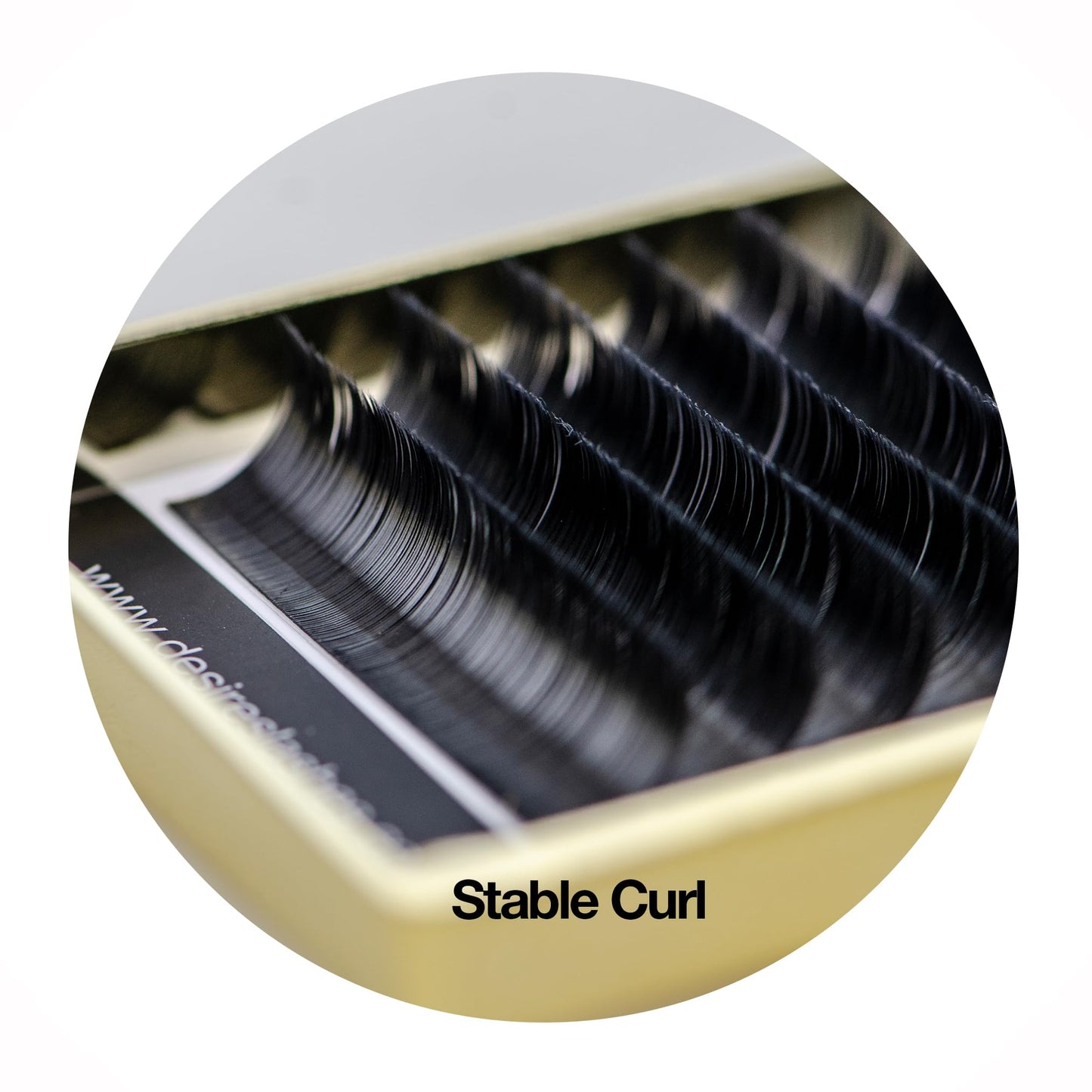 Ellipse Lashes 0.15mm Flat Thickness D Curl Length 10mm Eyelashes Extensions Single Size For Lash Extension(Ellipse,Flat0.15,D,10mm) Beauty & Personal Care EMILYSTORES