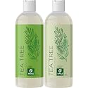 Tea Tree Shampoo and Conditioner Set - Sulfate Free Clarifying Shampoo and Conditioner for Oily Hair & Scalp Care with Cleansing Tea Tree Oil Beauty & Personal Care Maple Holistics