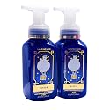 Bath & Body Works Gentle Foaming Hand Soap, 17.5oz Each, Pack of 2 Bottles (Winter) Beauty & Personal Care Bath & Body Works
