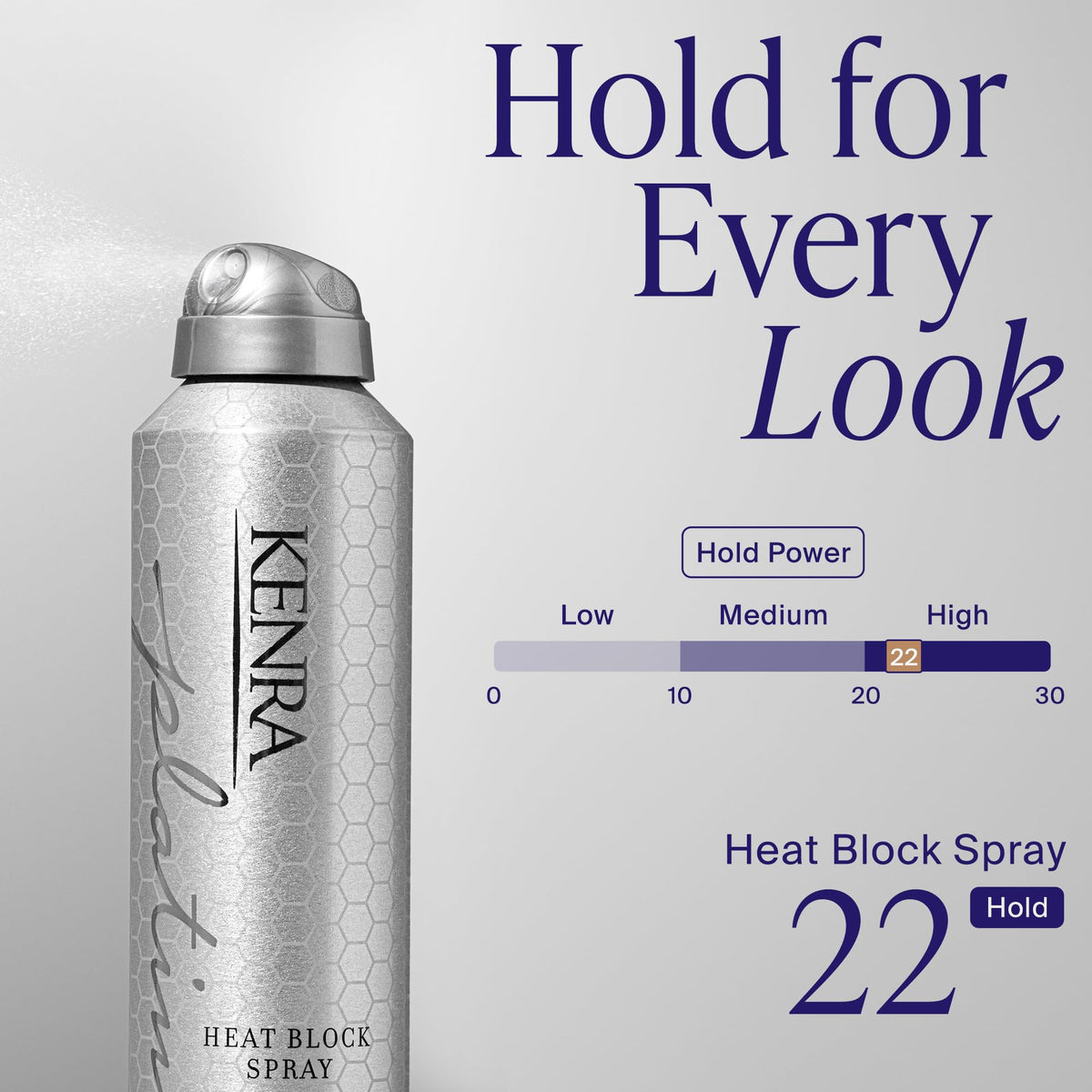 Kenra Professional Platinum Heat Block Spray 22 | Heat Protecting Hairspray | All Hair Types | 8 oz.