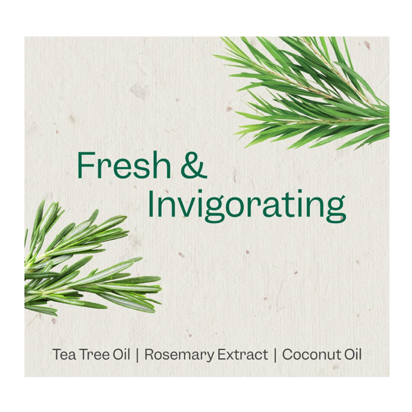 Renpure Plant Based Tea Tree and Rosemary Refresh and Rebalance Shampoo - Soothes Dry Scalp - Delivers Moisture and Shine - Rids Hair of Grime - Dye Beauty & Personal Care RENPURE