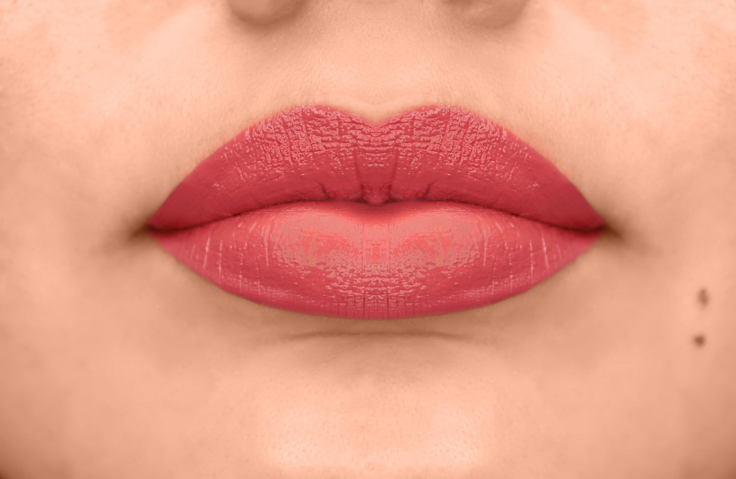 L.A. COLORS Velvet Plush Creamy Lip Color, Cushy CLC664 Beauty & Personal Care L.A. COLORS