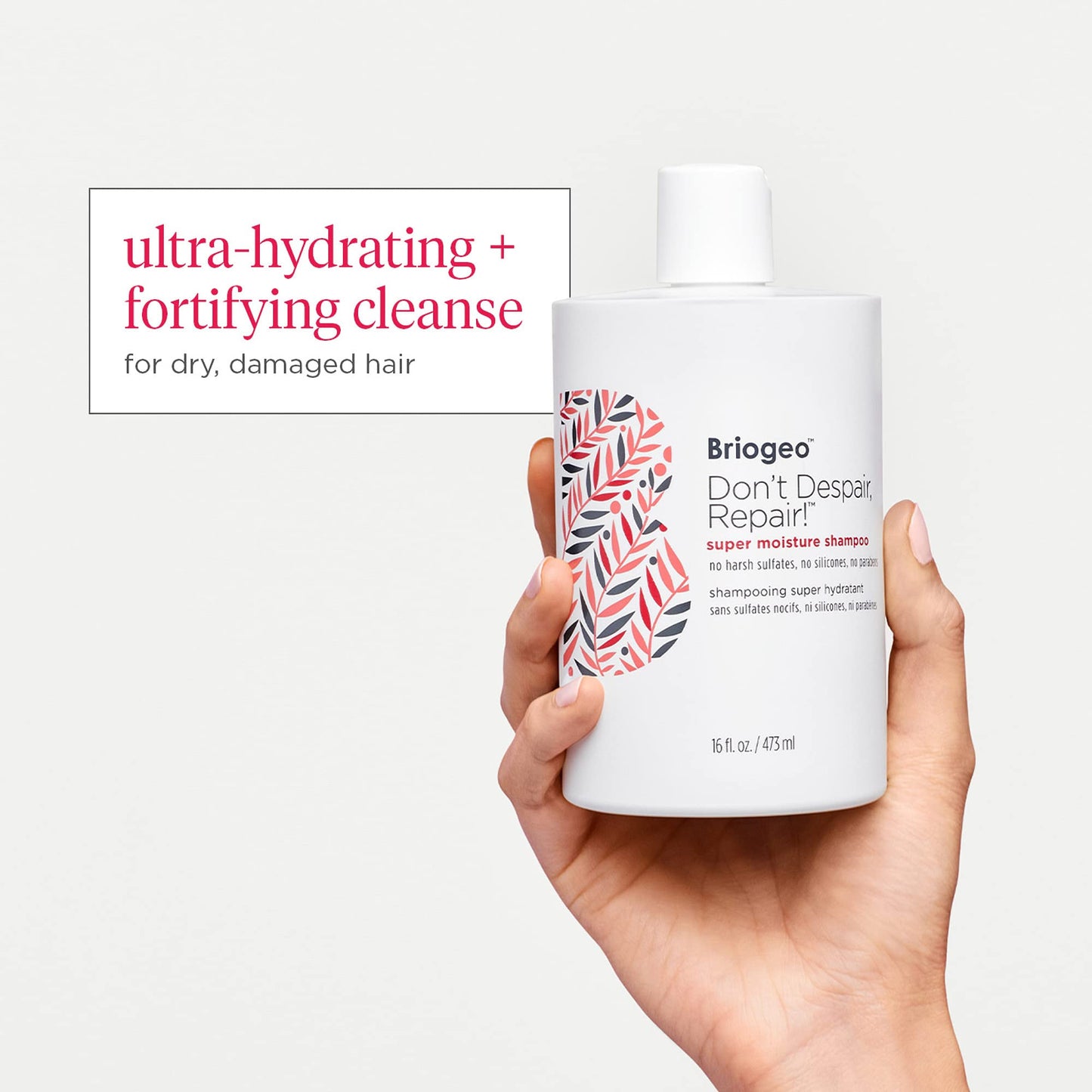 Briogeo Don't Despair, Repair! Super Moisture Shampoo, Dry Damaged Hair, Hair Shampoo with Argan Oil for Hair, Hair Moisturizer Hair Treatment Beauty & Personal Care Briogeo