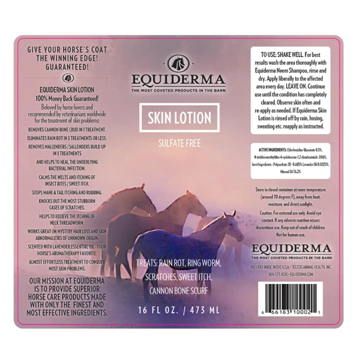 EQUIDERMA Horse Skin Lotion - 16 oz | All-in-One Equine Skin Care for Cannon Bone Scurf, Mane & Tail Itching, Midline Irritation, Dry Patches & Coat