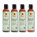 Tropic Isle Living 3x Hair Gro Rosemary Mint Shampoo 8oz and Conditioner 8 oz Gently Cleanses, Repairs & Nourishes with Mint, Aloe Vera & Shea Oil Beauty & Personal Care Tropic Isle Living
