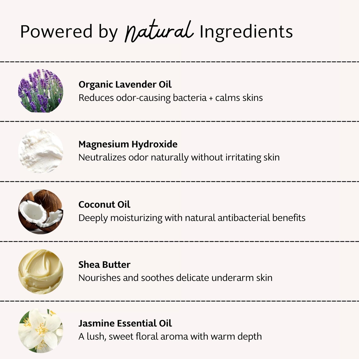 Slo Natural Deodorant - All Natural Ingredients - Aluminum Free Deodorant for Women - Vegan, Paraben and Cruelty Free - Paper Packaging - Lavender + Beauty and Personal Care Slo