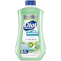 Dial Complete Antibacterial Foaming Hand Soap Refill, Fresh Pear, 32 fl oz Beauty & Personal Care Dial