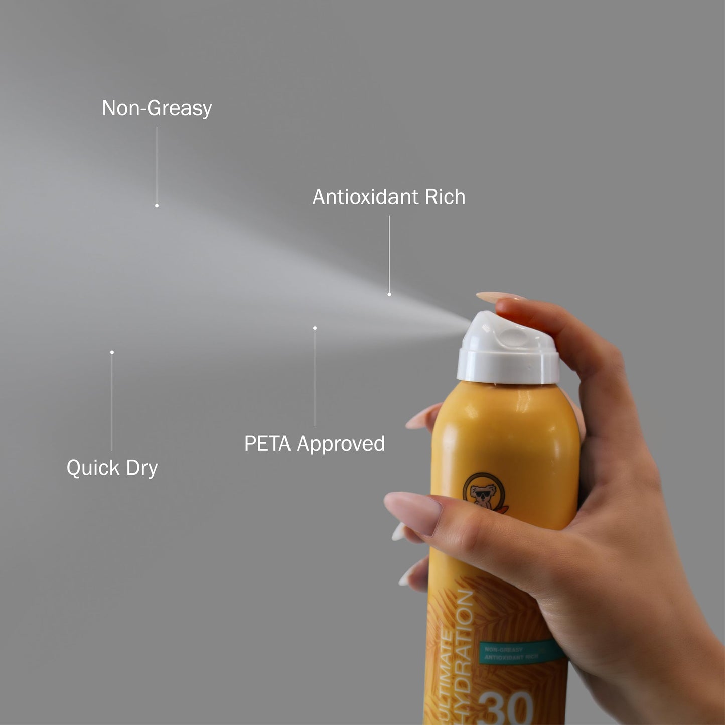 Australian Gold Continuous Spray Sunscreen SPF 30, 6 Ounce Dries Fast Broad Spectrum Water Resistant Non-Greasy Oxybenzone Free Cruelty Free Beauty & Personal Care Australian Gold