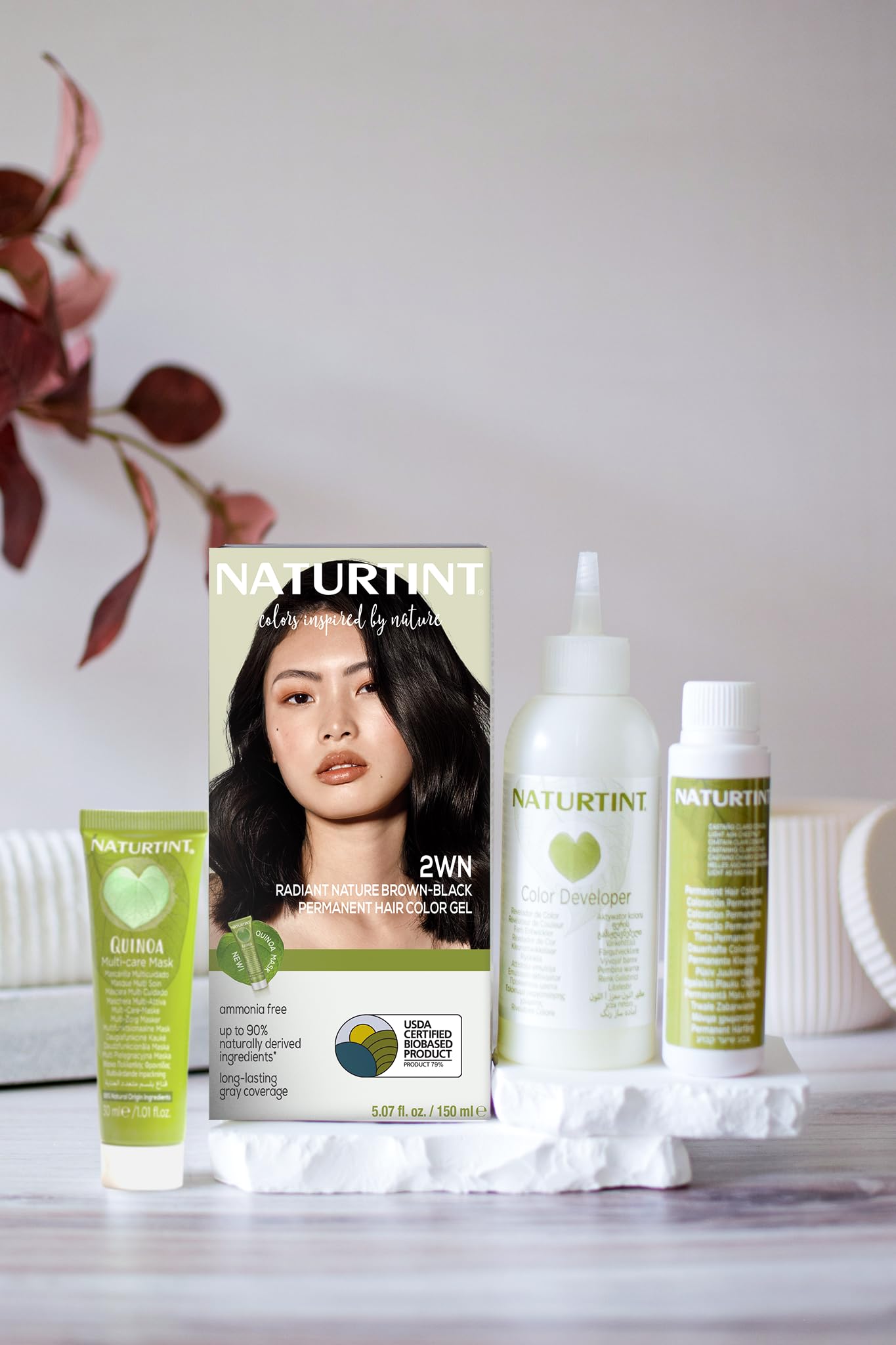Naturtint 2WN Radiant Nature Brown Black Permanent Hair Color (Pack of 1), Ammonia Free, Vegan, Cruelty Free, up to 100% Gray Coverage, Long Lasting Beauty & Personal Care Naturtint
