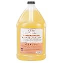 Adams Handmade Soap Liquid Foaming Soap 1 Gal - Cinnamon Spice Beauty & Personal Care Adams Handmade Soap