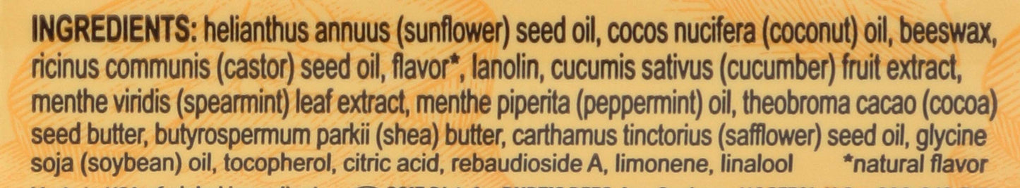 Burt's Bees Cucumber Mint Moisturizing Lip Balm for Women, Orange, 0.15 Oz Beauty and Personal Care Burt's Bees