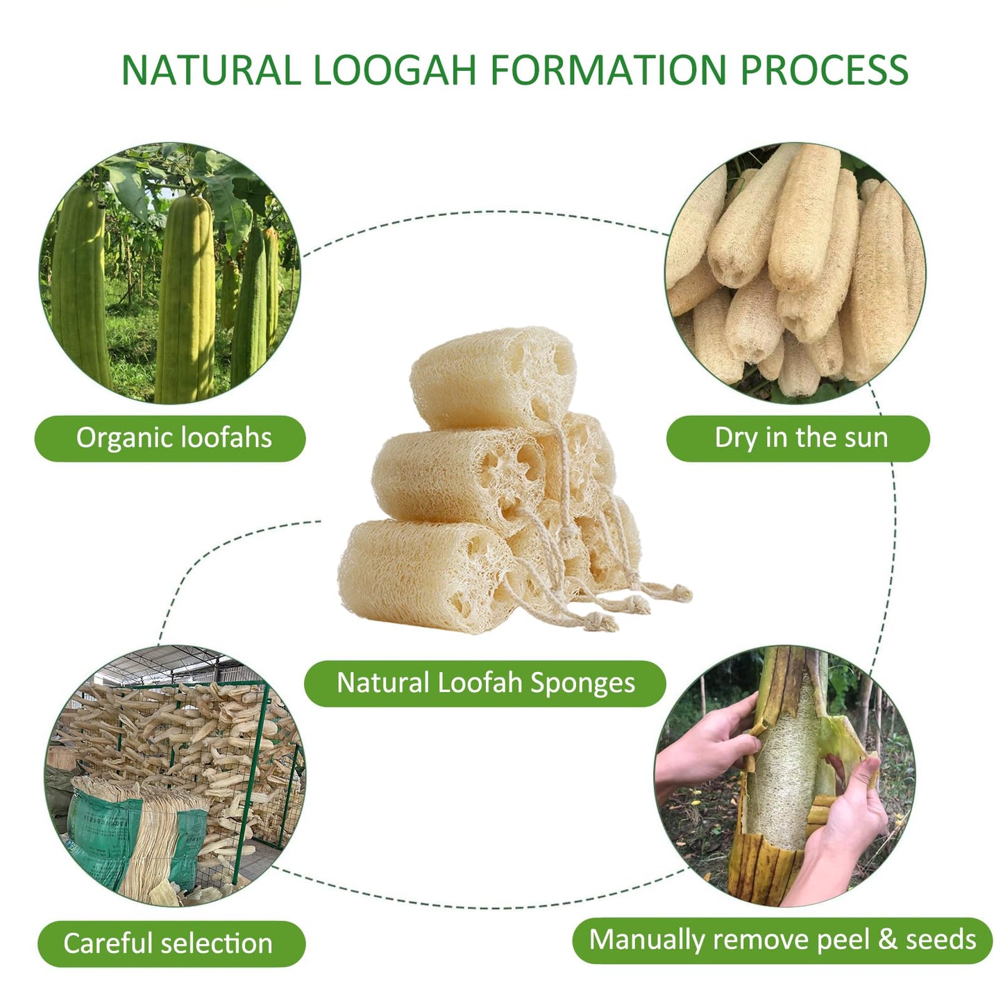FRTIM Natural Loofah Sponge, Organic Bath Loofah Pack, Lufas Exfoliating Body Scrubber, Loofas Sponges Shower Loofah for Women and Men, Skin SPA Beauty & Personal Care FRTIM