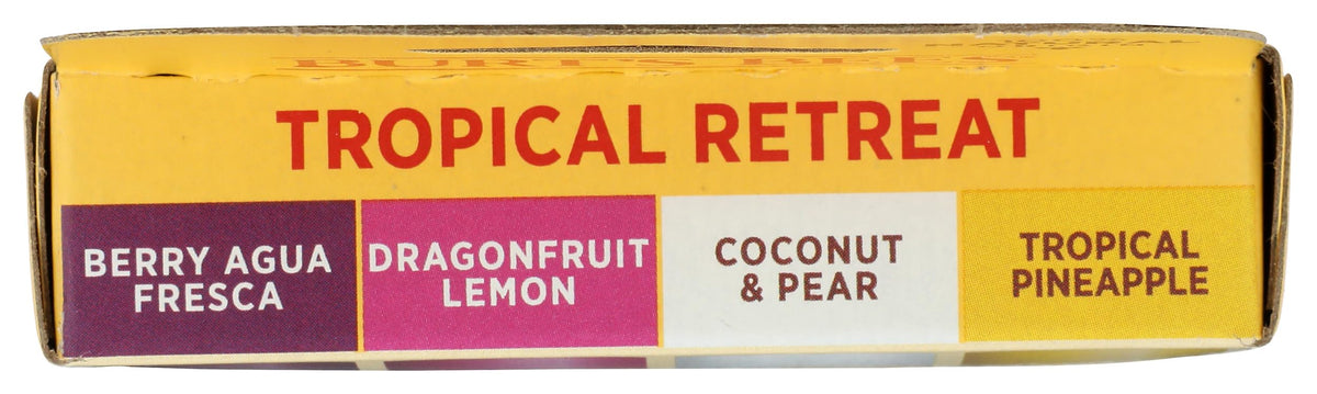 BURTS BEES Tropical Assortment Lip Balm, 0.6 OZ Beauty & Personal Care Burt's Bees