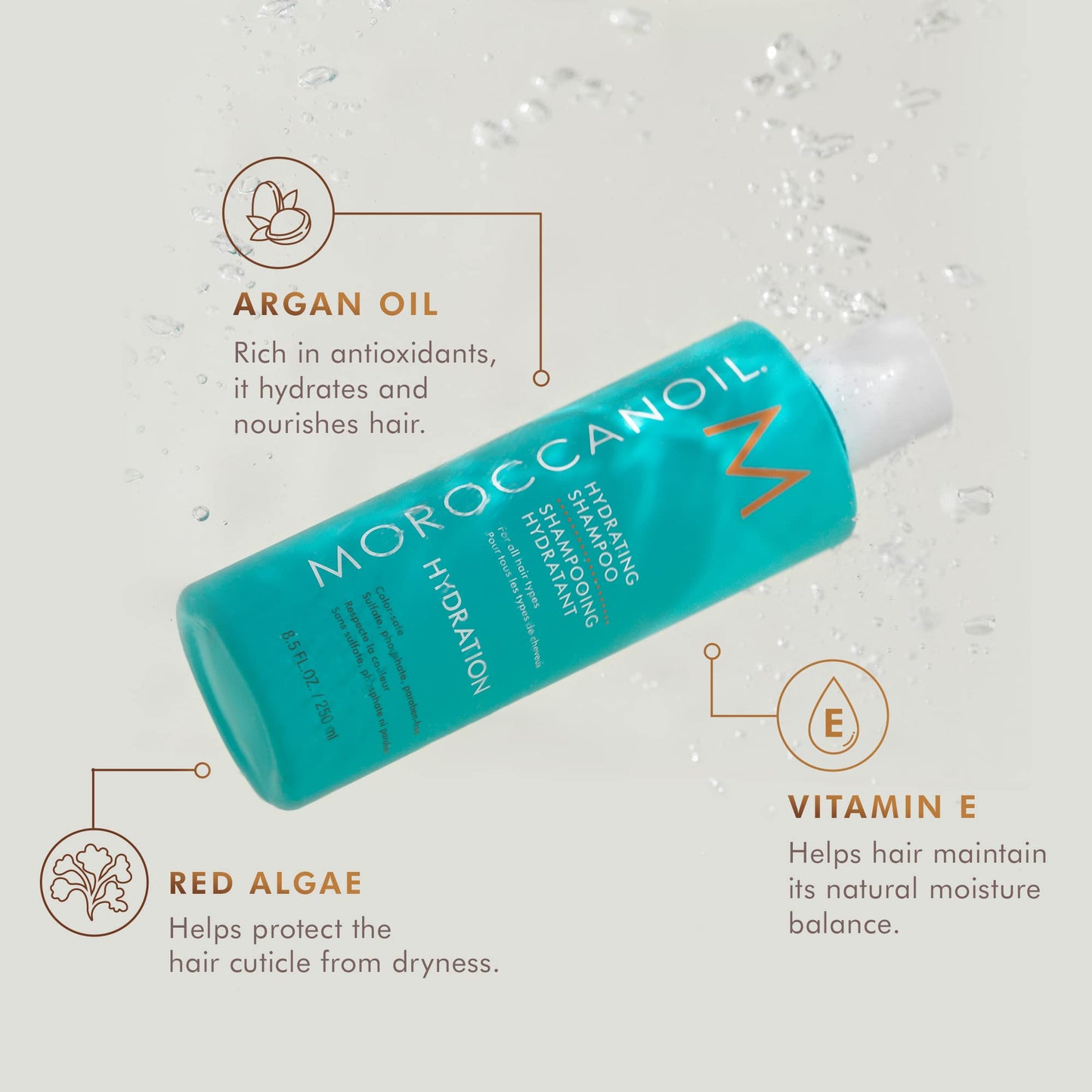 Moroccanoil Hydrating Shampoo, 8.5 Fl. Oz. Beauty and Personal Care Moroccanoil