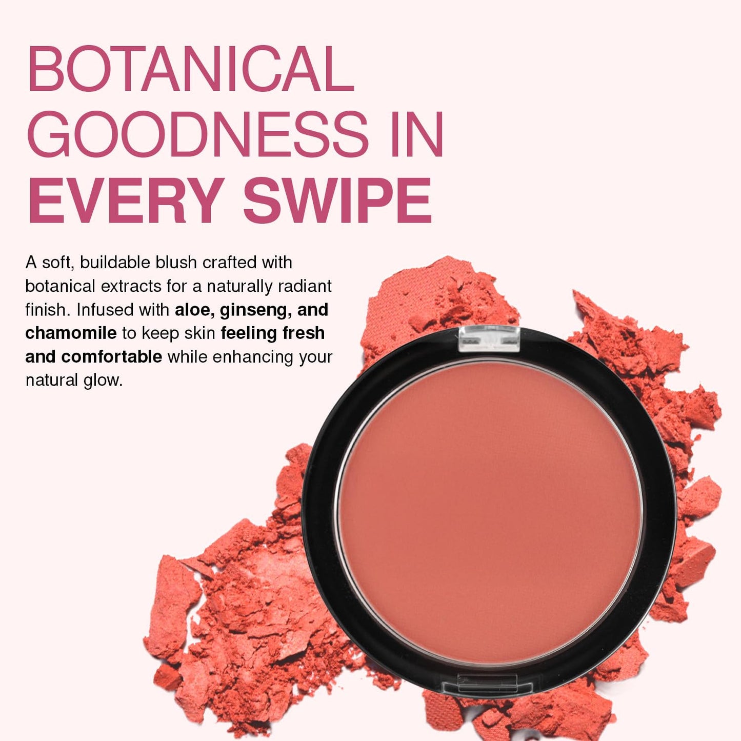 Palladio Matte Blush, Berry Pink Beauty & Personal Care Palladio