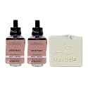 Bath & Body Works Sheer Peach Fragrance Refill 2 Pack With a Natual Oats Sample Soap. Beauty & Personal Care Bath & Body Works
