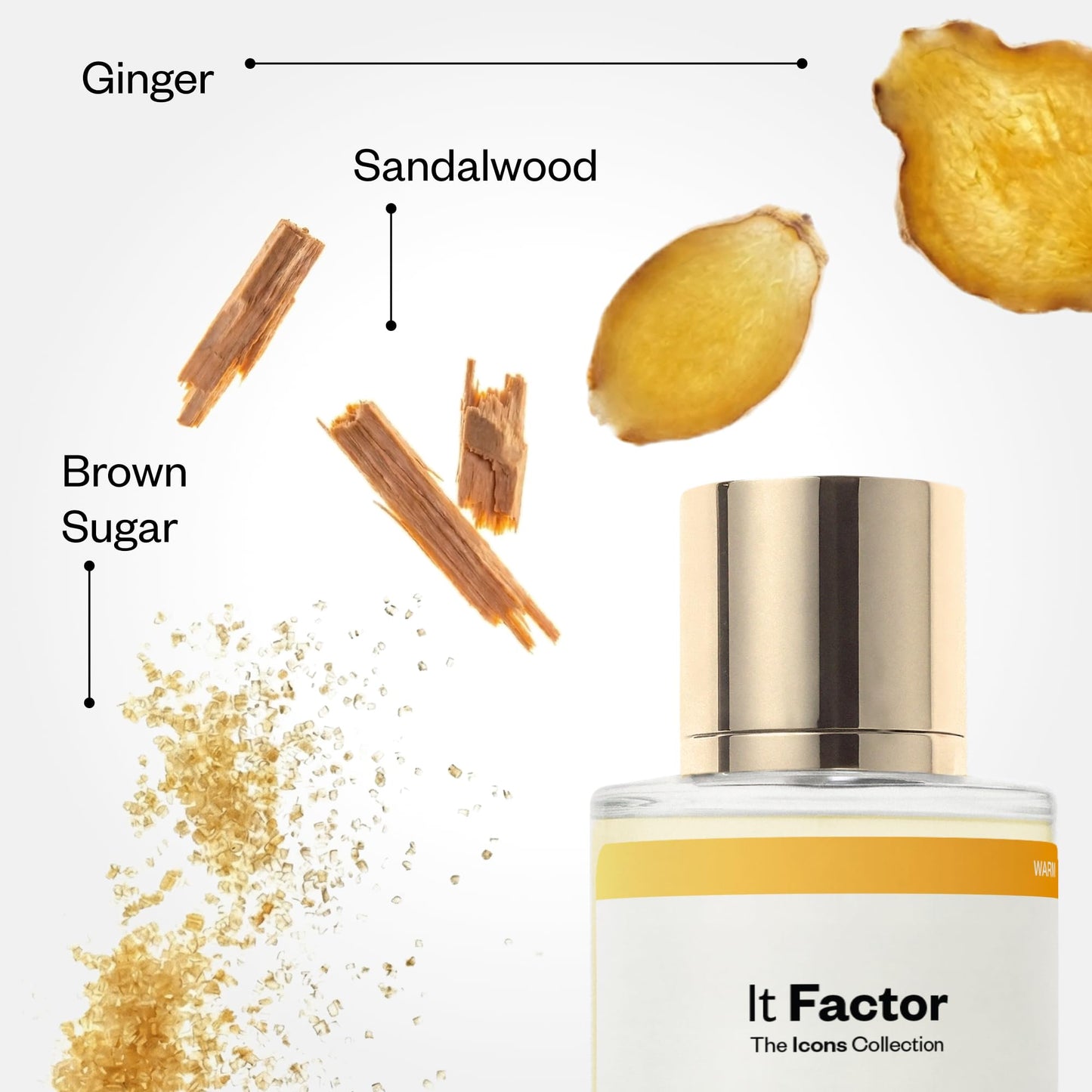 Dossier - Originals - It Factor - Eau de Parfum - Long-Lasting Sweet Floral Fragrance - Feminine - 1.7 fl oz (50ml) Beauty & Personal Care Dossier